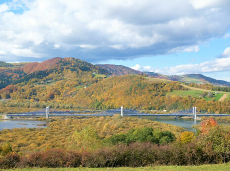 Most nad Dunajcem w Kurowie 2021 fot. Ireneusz Mech