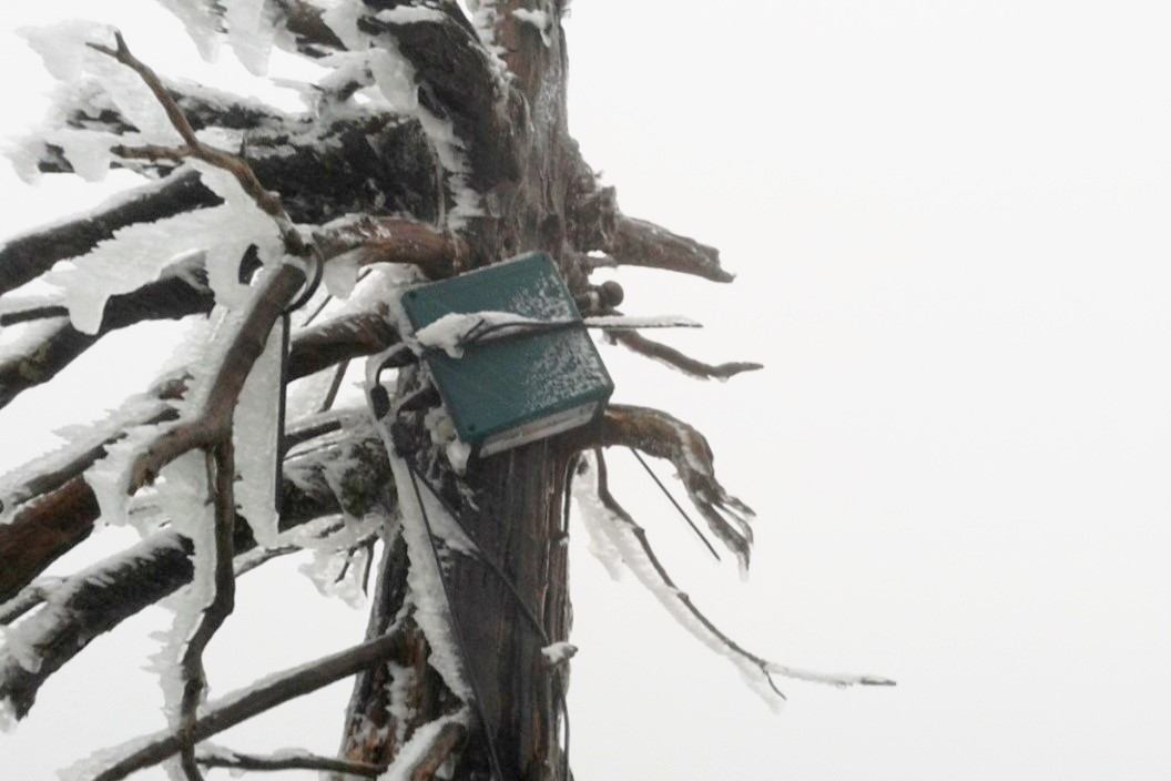 fot. 1. Zamontowany detektor (rejestrator ultradźwiękowy) na Mokrej Przełęczy w Karkonoszach